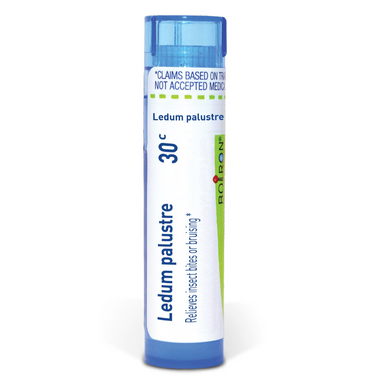 Ledum palustre (30c)